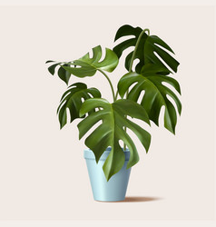 3d Tropical Potted Plant