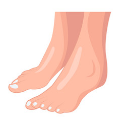 Webbeautiful Feet Icon Designed In Flat Style