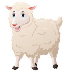 Cute Lamb Cartoon On White Background