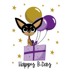 Happy Birthday - Cute Chihuahua Dog On Gift Box