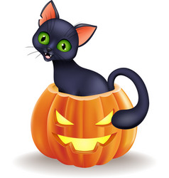 Cartoon black cat with halloween pumpkin Vector Image