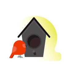 Cute Bird In Front Birdhouse