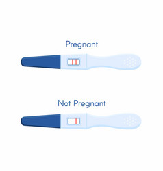 Pregnancy Positive And Negative Test