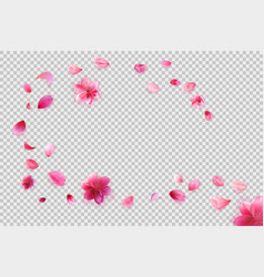 Falling Sakura Petals Png Isolated On Transparent