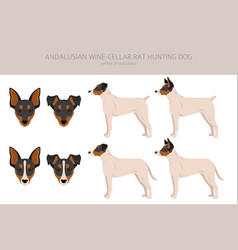 Andalusian Wine-cellar Rat Hunting Dog Clipart