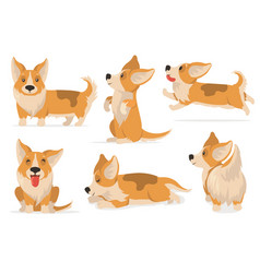 Friendly Corgi Set