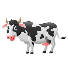 Cute Cow Cartoon On White Background