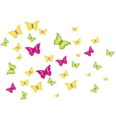 Butterflies Swarm