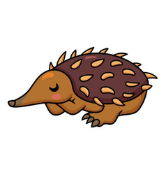 Cute Little Echidna Cartoon Sleeping