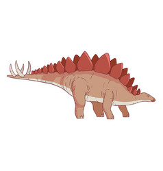 Stegosaurus Dinosaur