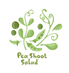 Pea Shoots Vegetable