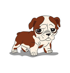 Design Of British Bulldog