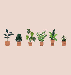 Group Of Hand Drawn Flat Potted Houseplants