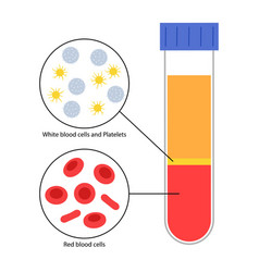 Platelet Rich Plasma Concept