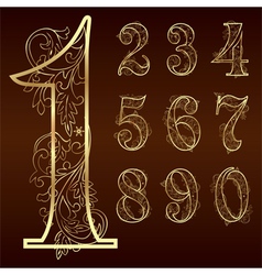 Digits and numbers set with floral details Vector Image