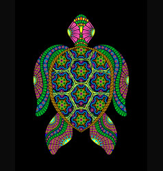 Turtle Huichol Beach