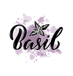 Basil Black Handwritten Word On A Watercolor