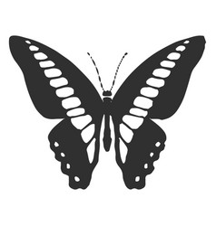 Ornythion Swallowtail Butterfly Silhouette