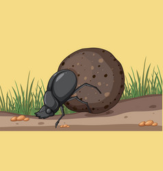 A Dung Beetle Pushing Dung