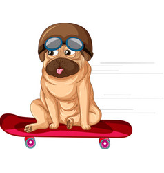 A Pug Dog On Skateboard Cartoon