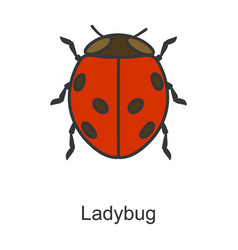 Lady Bug Iconcolor Icon Isolated On White