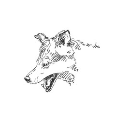 Open-jawed Wolf Head Drawing Side View Predator