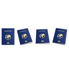 Realistic 3d Passport International Passport