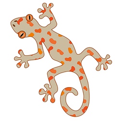 Gecko