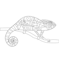 Chameleon Coloring Page