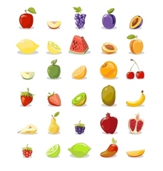 Fruit Slice Set Royalty Free Vector Image - VectorStock