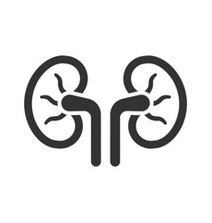 Human Kidney Icon