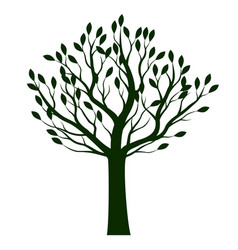 Outline Tree Trunk Vector Images Over 4 300