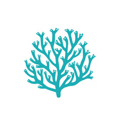 Acropids Stony Hard Coral Isolated Seaweed Icon