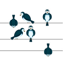 Birds Sitting On Wire In Different Positions