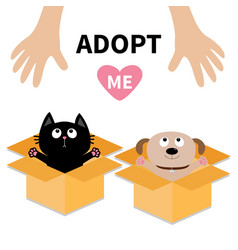 Human Hand Adopt Me Dog Cat Inside Opened