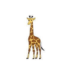 Image Of Giraffe