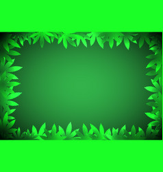 Cannabis Leaf Background