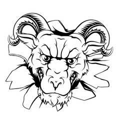 Ram Mascot Breakthrough