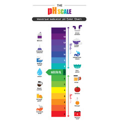 Ph scale universal indicator ph color chart Vector Image