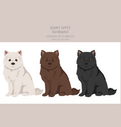 German Spitz Giant Puppy Clipart Different