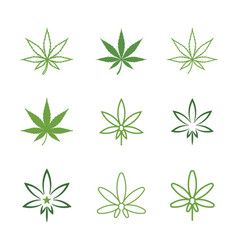 Set Of Medical Cannabis Leaf Logo Design