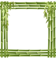 Bamboo frame background Royalty Free Vector Image