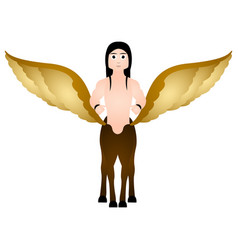 Winged Centaur Fantasy Creature