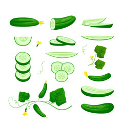 Cucumbers Cartoon Vegetable Vegan Plants