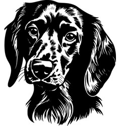 Dachshund - Black And White