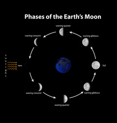 Diagram Showing Phases Earths Moon