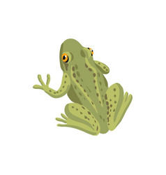 Drawing Grass Frog