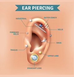 Ear Piercing Types Positions Background Poster