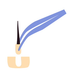 Hair Transplant Forceps With Hair Follicle Icon