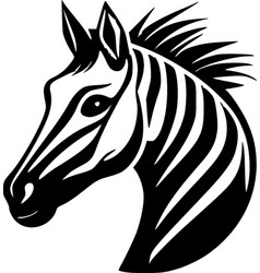 Zebra - Black And White